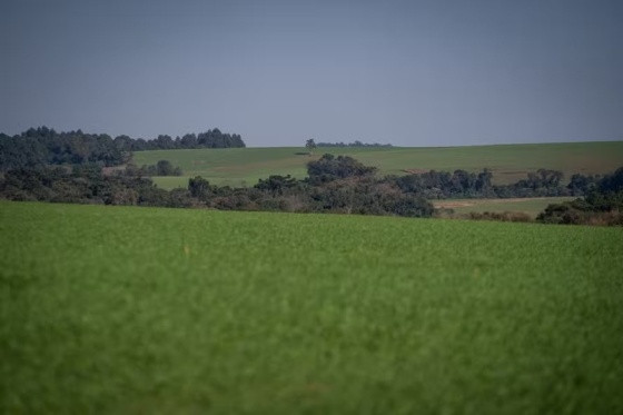 Ministério da Agricultura acredita que vai atender praticamente toda a demanda dos produtores para as culturas de inverno.