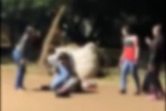 briga na saida de escola