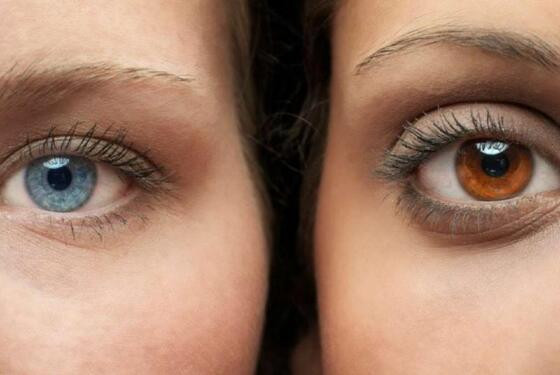 Olhos