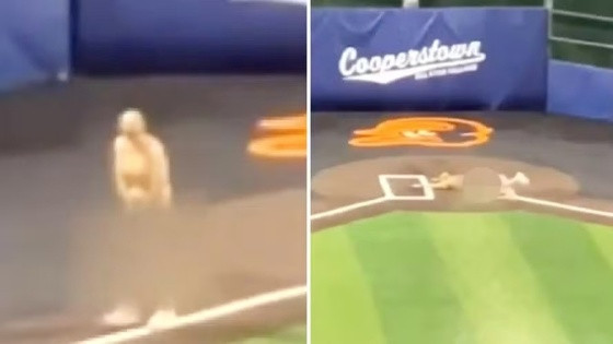 Em vídeo que circula pela internet, dois treinados de beisebol juvenil não identificados correm nus durante torneio.