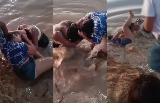 rinha de mulheres