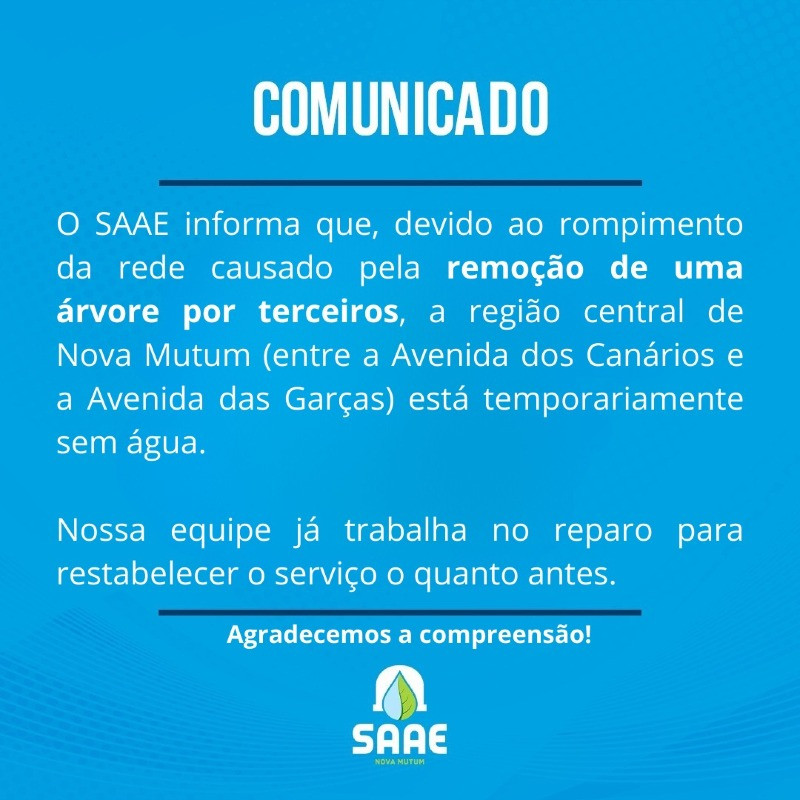 interna saae