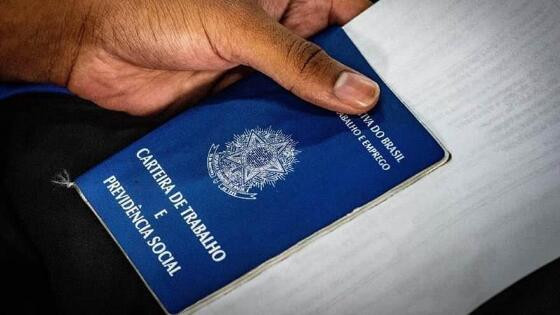 carteira de trabalho