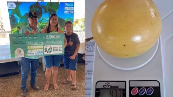 Maracujá surpreende em Mato Grosso.