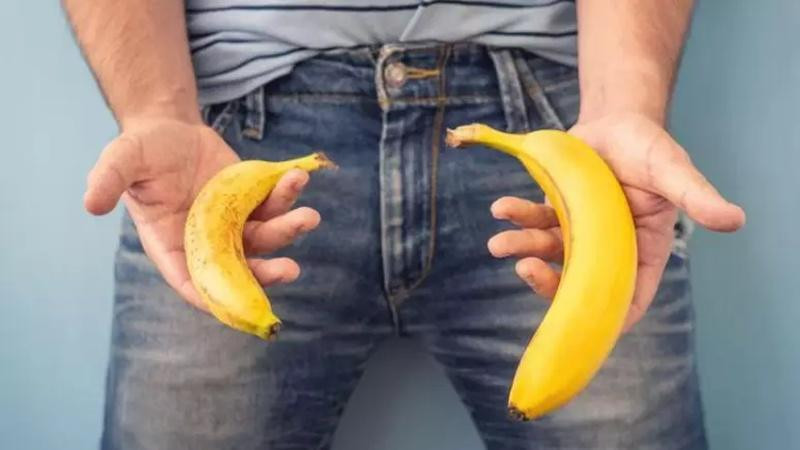 órgão sexual