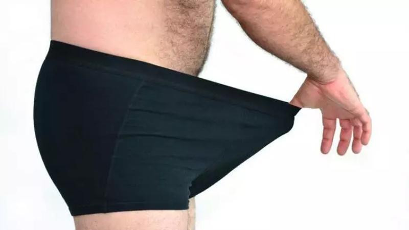 órgão sexual