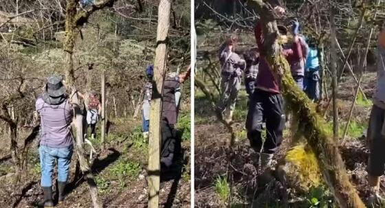 Vizinhos fazem mutirão para ajudar agricultor diagnosticado com tumor cerebral no RS.
