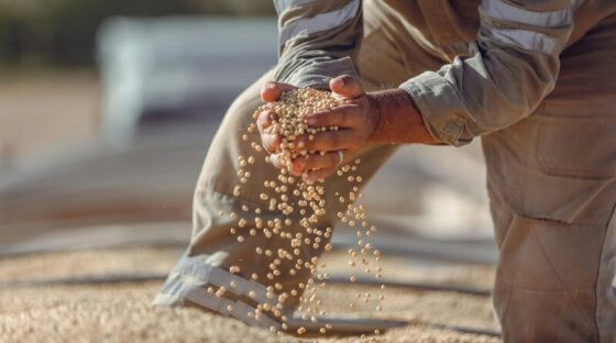 agro tarifa